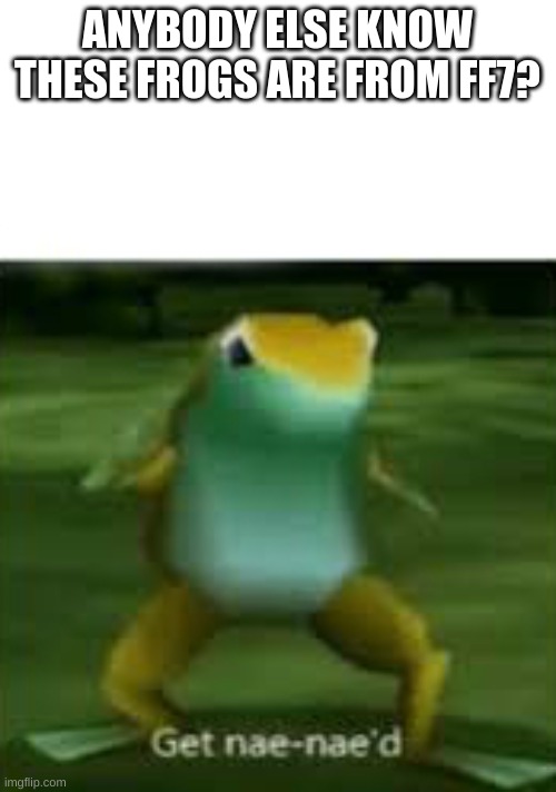 Get nae nae'd | ANYBODY ELSE KNOW THESE FROGS ARE FROM FF7? | image tagged in get nae nae'd | made w/ Imgflip meme maker