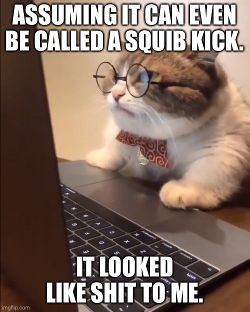 research cat | ASSUMING IT CAN EVEN BE CALLED A SQUIB KICK. IT LOOKED LIKE SHIT TO ME. | image tagged in research cat | made w/ Imgflip meme maker