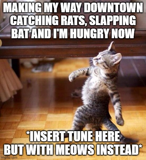 Titleless. | MAKING MY WAY DOWNTOWN CATCHING RATS, SLAPPING BAT AND I'M HUNGRY NOW; *INSERT TUNE HERE BUT WITH MEOWS INSTEAD* | image tagged in swag cat | made w/ Imgflip meme maker