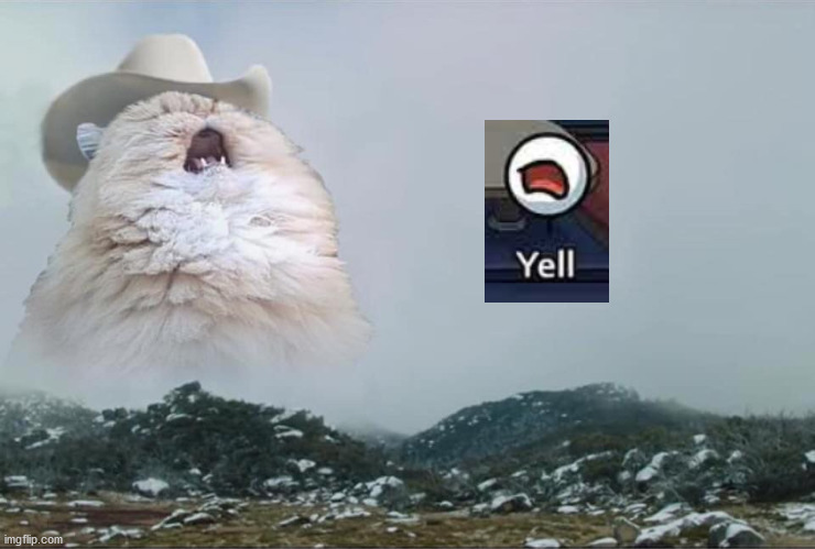 aaa | image tagged in screaming cowboy cat | made w/ Imgflip meme maker
