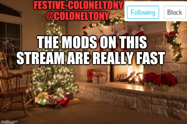 You guys rock | THE MODS ON THIS STREAM ARE REALLY FAST | image tagged in festive coloneltony ancoument | made w/ Imgflip meme maker