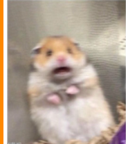 Ah! Hamster Blank Meme Template