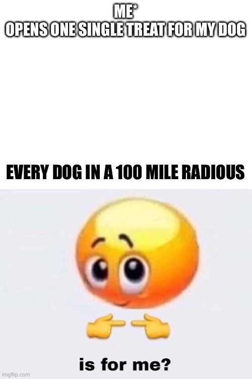 Its tru | ME*
OPENS ONE SINGLE TREAT FOR MY DOG; EVERY DOG IN A 100 MILE RADIUS | image tagged in blank white template,is it for me | made w/ Imgflip meme maker