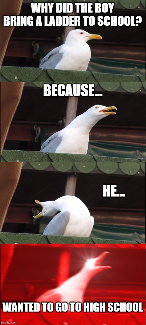 Inhaling Seagull Meme | WHY DID THE BOY BRING A LADDER TO SCHOOL? BECAUSE... HE... WANTED TO GO TO HIGH SCHOOL | image tagged in memes,inhaling seagull | made w/ Imgflip meme maker