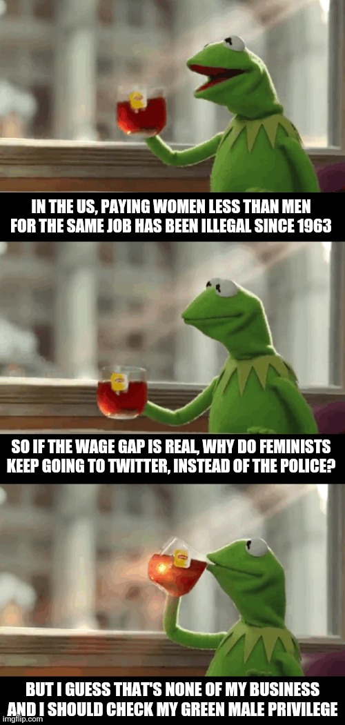 It's a Myth, Piggy | IN THE US, PAYING WOMEN LESS THAN MEN FOR THE SAME JOB HAS BEEN ILLEGAL SINCE 1963; SO IF THE WAGE GAP IS REAL, WHY DO FEMINISTS KEEP GOING TO TWITTER, INSTEAD OF THE POLICE? BUT I GUESS THAT'S NONE OF MY BUSINESS AND I SHOULD CHECK MY GREEN MALE PRIVILEGE | image tagged in but that's none of my business extended,wage gap myth,memes,politics | made w/ Imgflip meme maker