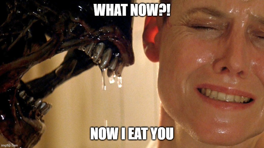 Xenomorph Alien | WHAT NOW?! NOW I EAT YOU | image tagged in xenomorph alien | made w/ Imgflip meme maker