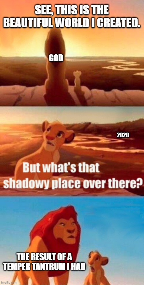 2020 was a mistake. And we all know it. | SEE, THIS IS THE BEAUTIFUL WORLD I CREATED. GOD; 2020; THE RESULT OF A TEMPER TANTRUM I HAD | image tagged in memes,simba shadowy place,2020,god | made w/ Imgflip meme maker