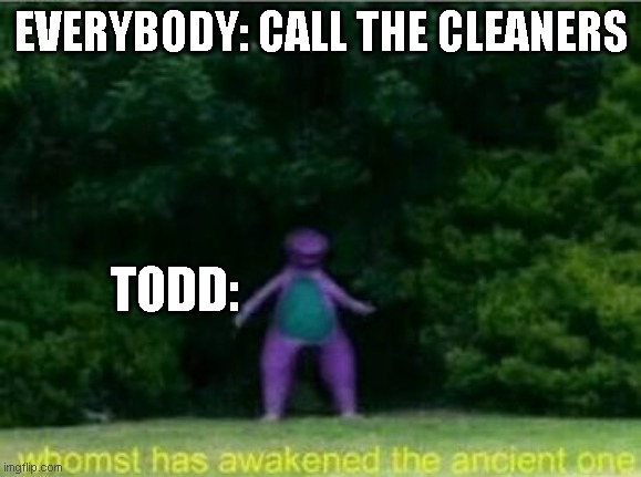 cleaning simulator meme | EVERYBODY: CALL THE CLEANERS; TODD: | image tagged in whomst has awakened the ancient one | made w/ Imgflip meme maker