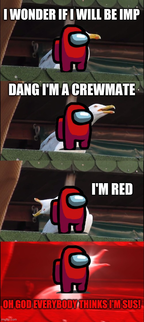 why does everybody think red sus? | I WONDER IF I WILL BE IMP; DANG I'M A CREWMATE; I'M RED; OH GOD EVERYBODY THINKS I'M SUS! | image tagged in memes,inhaling seagull | made w/ Imgflip meme maker