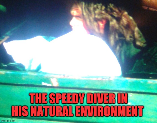The Speedy Divers Home | THE SPEEDY DIVER IN HIS NATURAL ENVIRONMENT | image tagged in the speedy diver,speedy diver,gamestop,video games | made w/ Imgflip meme maker