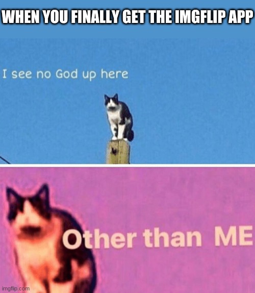i just got the app | WHEN YOU FINALLY GET THE IMGFLIP APP | image tagged in hail pole cat,funny,lol | made w/ Imgflip meme maker