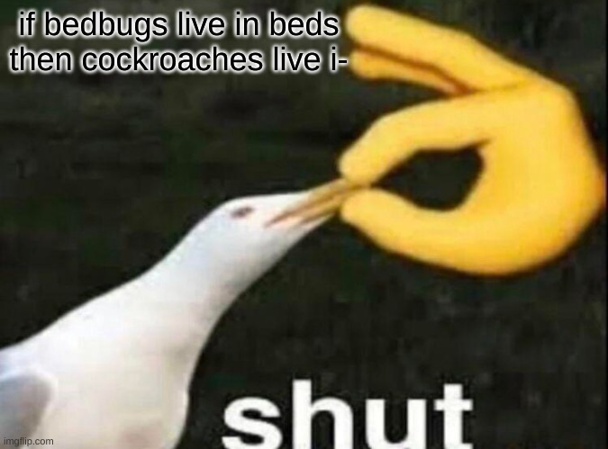saw one meme in another template | if bedbugs live in beds then cockroaches live i- | image tagged in shut | made w/ Imgflip meme maker