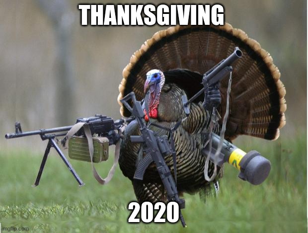 turkey | THANKSGIVING; 2020 | image tagged in turkey | made w/ Imgflip meme maker