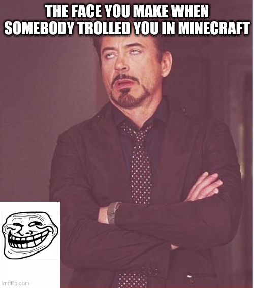 Face You Make Robert Downey Jr | THE FACE YOU MAKE WHEN SOMEBODY TROLLED YOU IN MINECRAFT | image tagged in memes,face you make robert downey jr | made w/ Imgflip meme maker