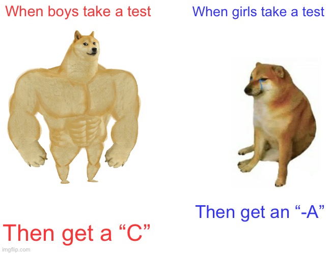 Very true | When boys take a test; When girls take a test; Then get an “-A”; Then get a “C” | image tagged in memes,buff doge vs cheems | made w/ Imgflip meme maker