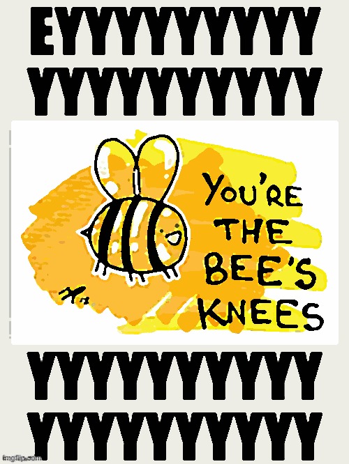 when they're the bee's knees again. | image tagged in imgflipper,meanwhile on imgflip | made w/ Imgflip meme maker