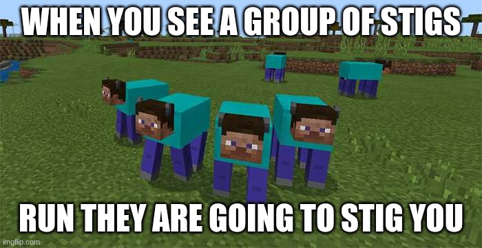 me and the boys | WHEN YOU SEE A GROUP OF STIGS; RUN THEY ARE GOING TO STIG YOU | image tagged in me and the boys | made w/ Imgflip meme maker