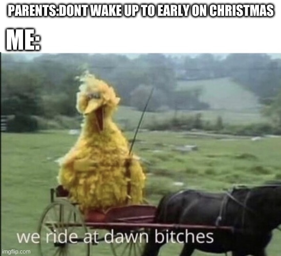E |  ME:; PARENTS:DONT WAKE UP TO EARLY ON CHRISTMAS | image tagged in we ride at dawn bitches,christmas,big bird,memes | made w/ Imgflip meme maker