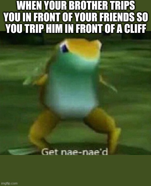 status up | WHEN YOUR BROTHER TRIPS YOU IN FRONT OF YOUR FRIENDS SO YOU TRIP HIM IN FRONT OF A CLIFF | image tagged in get nae-nae'd | made w/ Imgflip meme maker