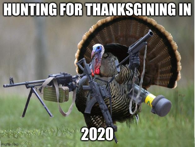 hahah | HUNTING FOR THANKSGINING IN; 2020 | image tagged in turkey | made w/ Imgflip meme maker