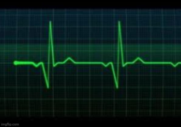 Heartbeat | image tagged in heartbeat | made w/ Imgflip meme maker
