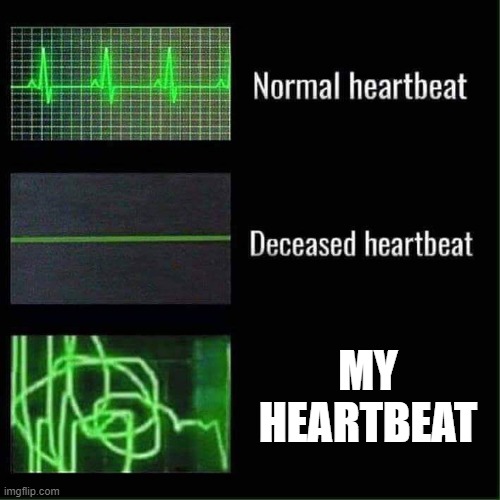 Heartbeat meme | MY HEARTBEAT | image tagged in heartbeat meme | made w/ Imgflip meme maker