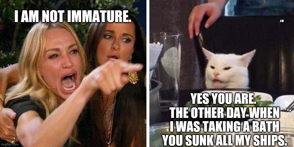 Smudge the cat | J M; I AM NOT IMMATURE. YES YOU ARE.  THE OTHER DAY WHEN I WAS TAKING A BATH YOU SUNK ALL MY SHIPS. | image tagged in smudge the cat | made w/ Imgflip meme maker