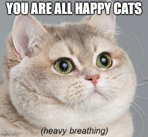 Heavy Breathing Cat | YOU ARE ALL HAPPY CATS | image tagged in memes,heavy breathing cat | made w/ Imgflip meme maker