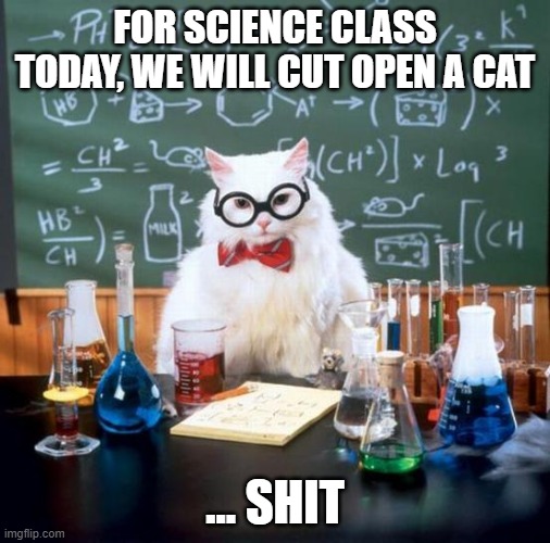 Chemistry Cat Meme | FOR SCIENCE CLASS TODAY, WE WILL CUT OPEN A CAT; ... SHIT | image tagged in memes,chemistry cat | made w/ Imgflip meme maker