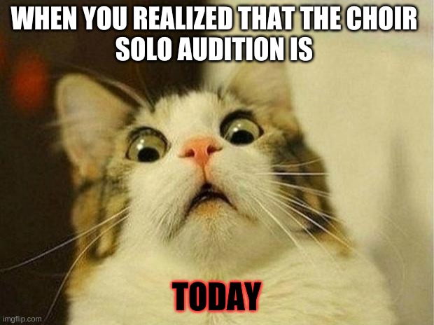 Choir life | WHEN YOU REALIZED THAT THE CHOIR 
SOLO AUDITION IS; TODAY | image tagged in memes,scared cat | made w/ Imgflip meme maker