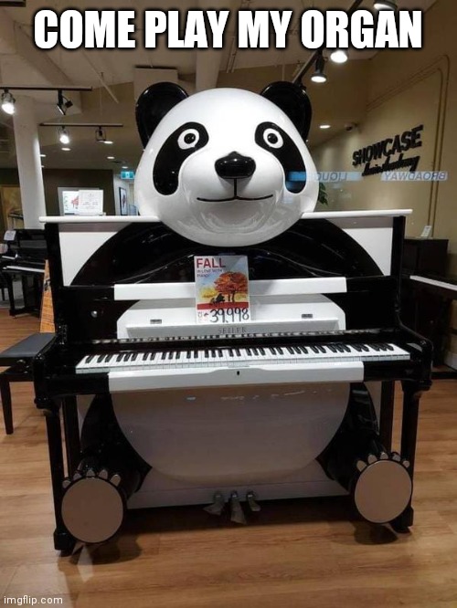 You're scaring the children | COME PLAY MY ORGAN | image tagged in bear,keyboard,this is where the fun begins,frightened | made w/ Imgflip meme maker