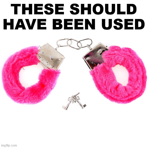 Sexy handcuffs | THESE SHOULD HAVE BEEN USED | image tagged in sexy handcuffs | made w/ Imgflip meme maker