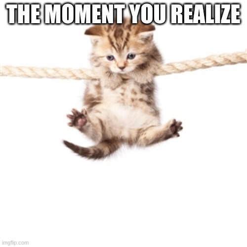 Sorry I left you hanging! ;) | THE MOMENT YOU REALIZE | image tagged in hang in there kitty,memes,funny,bad joke,left you hanging,yeah i know i should get off the stage | made w/ Imgflip meme maker