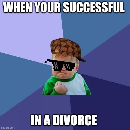 Success Kid Meme | WHEN YOUR SUCCESSFUL; IN A DIVORCE | image tagged in memes,success kid | made w/ Imgflip meme maker