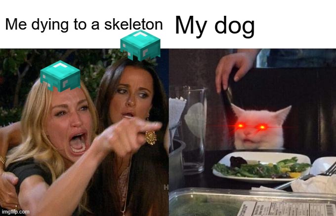 Woman Yelling At Cat | Me dying to a skeleton; My dog | image tagged in memes,woman yelling at cat | made w/ Imgflip meme maker