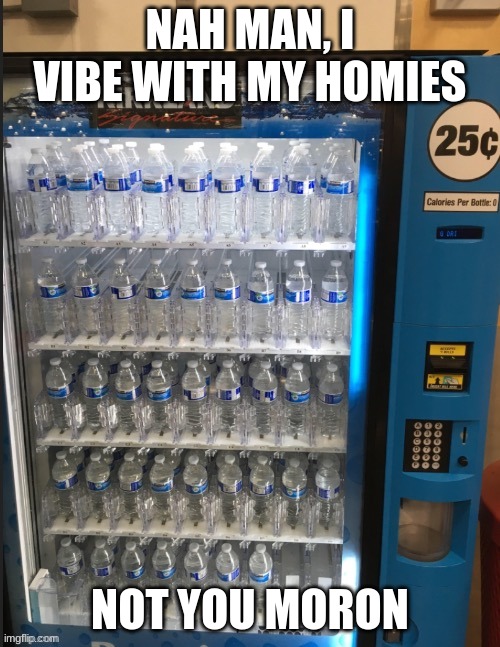funy | NAH MAN, I VIBE WITH MY HOMIES; NOT YOU MORON | image tagged in funny | made w/ Imgflip meme maker