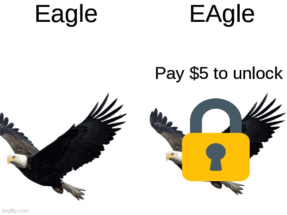 Blank White Template | Eagle; EAgle; Pay $5 to unlock | image tagged in blank white template,memes,dank memes | made w/ Imgflip meme maker