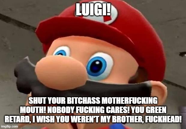 Mario WTF | LUIGI! SHUT YOUR BITCHASS MOTHERFUCKING MOUTH! NOBODY FUCKING CARES! YOU GREEN RETARD, I WISH YOU WEREN'T MY BROTHER, FUCKHEAD! | image tagged in mario wtf | made w/ Imgflip meme maker