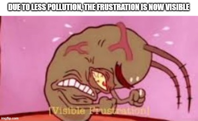How i feel right now | DUE TO LESS POLLUTION, THE FRUSTRATION IS NOW VISIBLE | image tagged in visible frustration | made w/ Imgflip meme maker