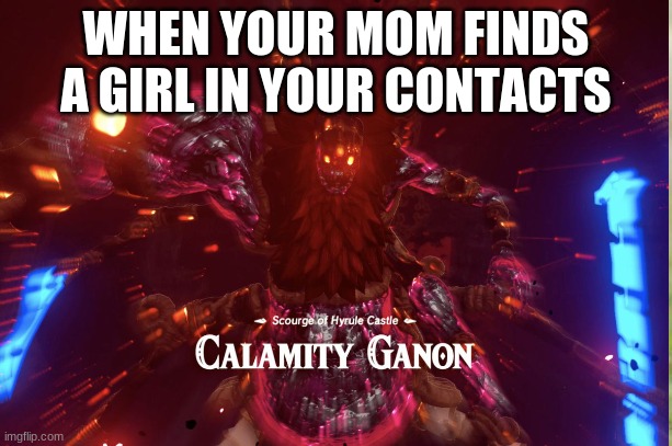 WHEN YOUR MOM FINDS A GIRL IN YOUR CONTACTS | image tagged in legend of zelda | made w/ Imgflip meme maker