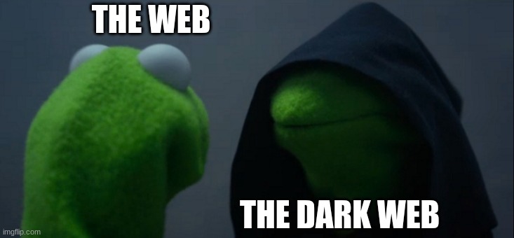 Evil Kermit | THE WEB; THE DARK WEB | image tagged in memes,evil kermit | made w/ Imgflip meme maker