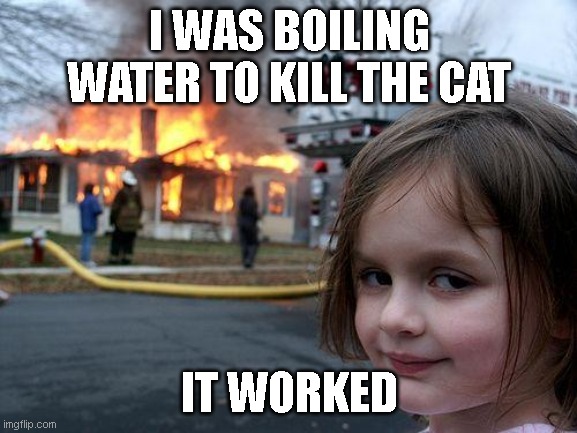 Disaster Girl | I WAS BOILING WATER TO KILL THE CAT; IT WORKED | image tagged in memes,disaster girl | made w/ Imgflip meme maker