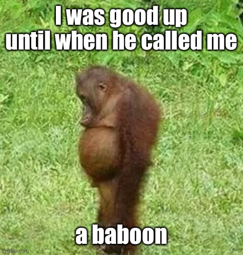 sad orangatan | I was good up until when he called me a baboon | image tagged in sad orangatan | made w/ Imgflip meme maker