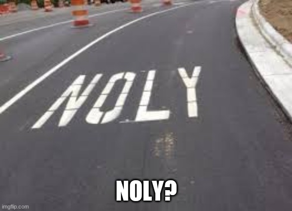 Noly? | NOLY? | image tagged in you had one job,memes,funny,road,funny memes | made w/ Imgflip meme maker