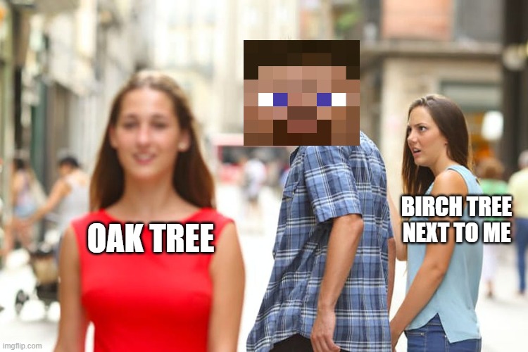 Trees | BIRCH TREE NEXT TO ME; OAK TREE | image tagged in memes,distracted boyfriend | made w/ Imgflip meme maker