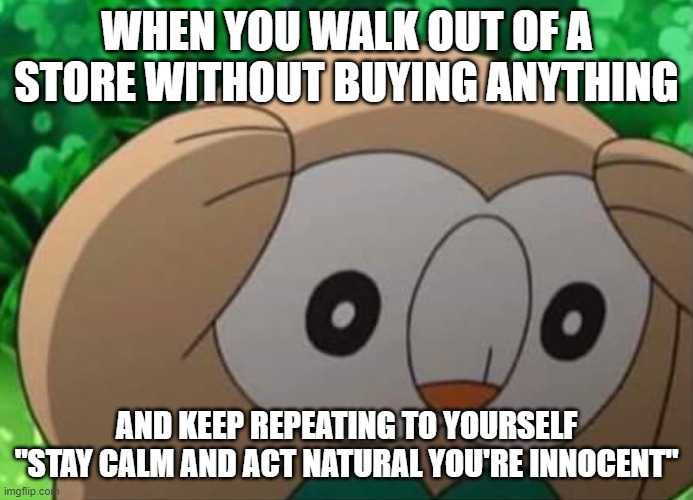 Shopping Explained | WHEN YOU WALK OUT OF A STORE WITHOUT BUYING ANYTHING; AND KEEP REPEATING TO YOURSELF "STAY CALM AND ACT NATURAL YOU'RE INNOCENT" | image tagged in distressed rowlet | made w/ Imgflip meme maker