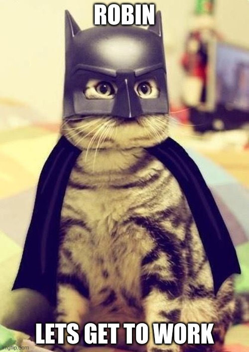 catman | ROBIN; LETS GET TO WORK | image tagged in catman | made w/ Imgflip meme maker