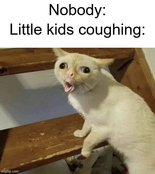 Nobody:; Little kids coughing: | image tagged in blank white template,coughing cat | made w/ Imgflip meme maker