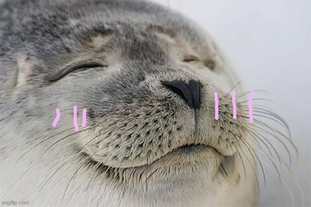 Satisfied Seal Meme | image tagged in memes,satisfied seal | made w/ Imgflip meme maker