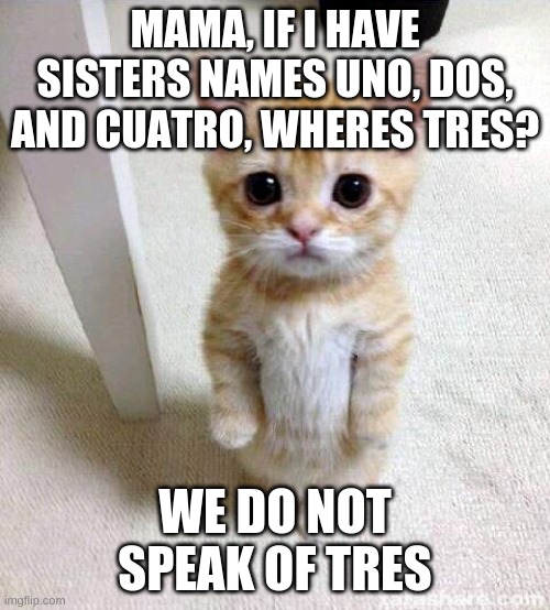 only people who have watched ferdinand the newer one will understand | MAMA, IF I HAVE SISTERS NAMES UNO, DOS, AND CUATRO, WHERES TRES? WE DO NOT SPEAK OF TRES | image tagged in memes,cute cat | made w/ Imgflip meme maker
